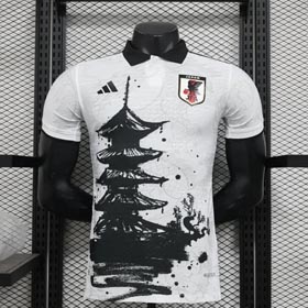 Fußball Jersey Shirts T-Shirts-1167  